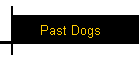 Past Dogs